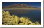 Lagune, Eduardo Alvarez Nationalpark Lagune, Eduardo Alvarez Nationalpark