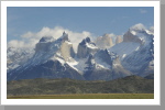 Guanakos vor den Cuernos del Paine