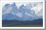 Guanakos vor eindrucksvoller Kulisse, Torres del Paine N.P.