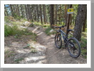 Der, extra für biker angelegte, Propain Trail Der, extra für biker angelegte, Propain Trail