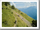 Auf dem Höhenweg in Latsch Auf dem Höhenweg in Latsch