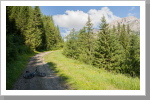 Der Trail Start zum Bindelweg Der Trail Start zum Bindelweg
