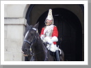 Kings Guard, Buckingham Palace