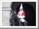 Kings Guard, Buckingham Palace Kings Guard, Buckingham Palace