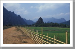 Reisfelder, Vang Vieng Reisfelder, Vang Vieng