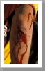 Offener Arm, Queenstown Offener Arm, Queenstown