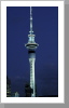 Auckland Skytower Auckland Skytower