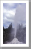 Geysir, Rotorua Geysir, Rotorua