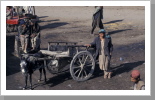Kofferpacker, Quetta Kofferpacker, Quetta