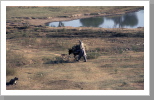 Farmer, Balutschistan Farmer, Balutschistan