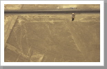 Scharrbilder, Nazca Scharrbilder, Nazca
