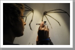 Airbrush zum anfassen Airbrush zum anfassen