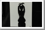Schon interessante Bilder Schon interessante Bilder