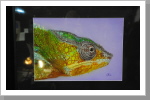Kein Foto, sondern Airbrush! Kein Foto, sondern Airbrush!