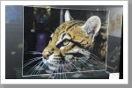 Kein Foto, sondern Airbrush! Kein Foto, sondern Airbrush!