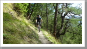Auf dem Höhenweg Auf dem Höhenweg