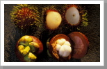Rambutans und Mangosteen, Bangkok Rambutans und Mangosteen, Bangkok