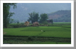 Reisfelder, Mai Chau Reisfelder, Mai Chau