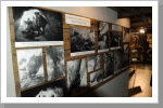 Eindrucksvolles Kriegsmuseum am Passo Pordoi Eindrucksvolles Kriegsmuseum am Passo Pordoi